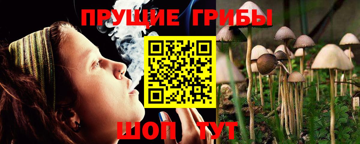 Норильск  Псилоцибиновые грибы MAGIC MUSHROOMS  Вход с VPN  Псилоцибиновые грибы ЛСД 