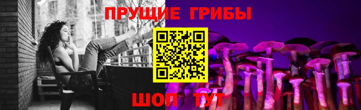 Псилоцибиновые грибы Psilocybe Норильск